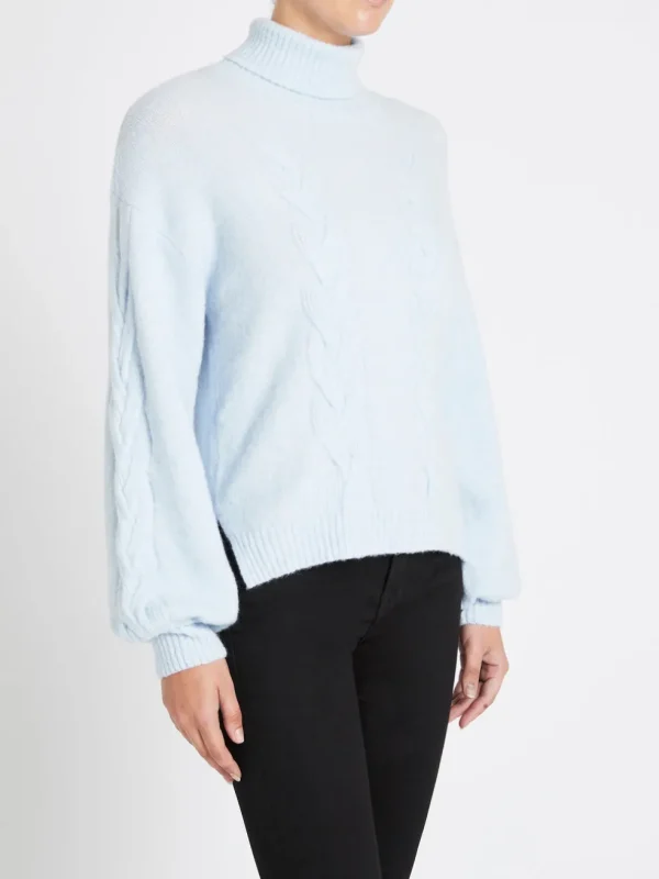 Chow Turtleneck Sweater