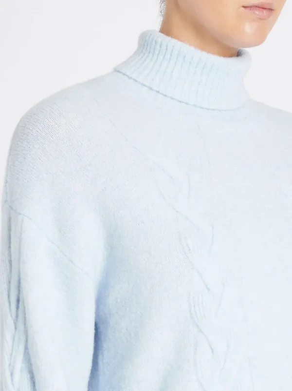 Chow Turtleneck Sweater