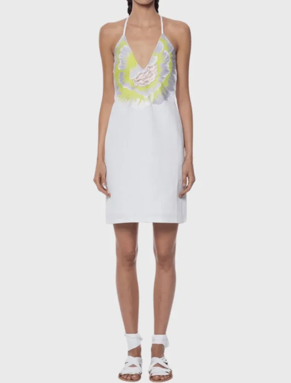 Flower Embroidered V Neck Dress