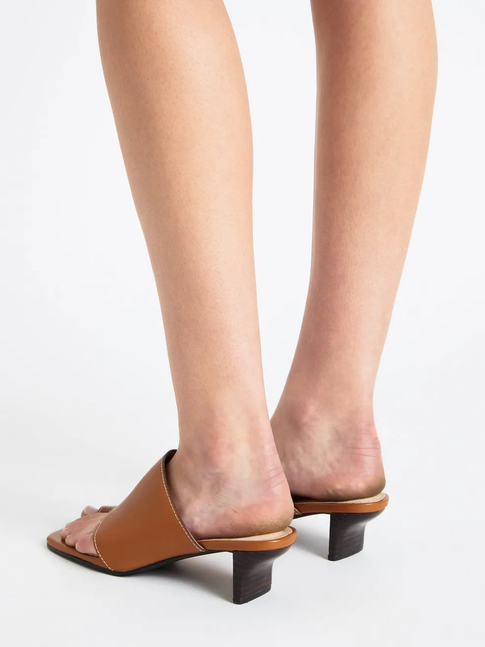 hazel_mule_3.webp Hazel Mule