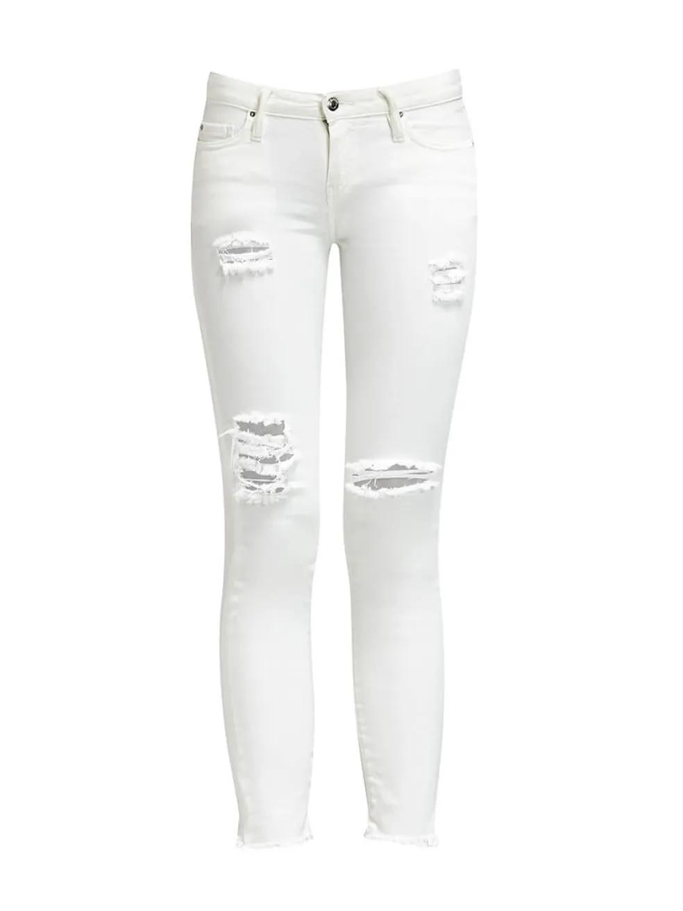 jarod_jean_0-1.webp Jarod Jean