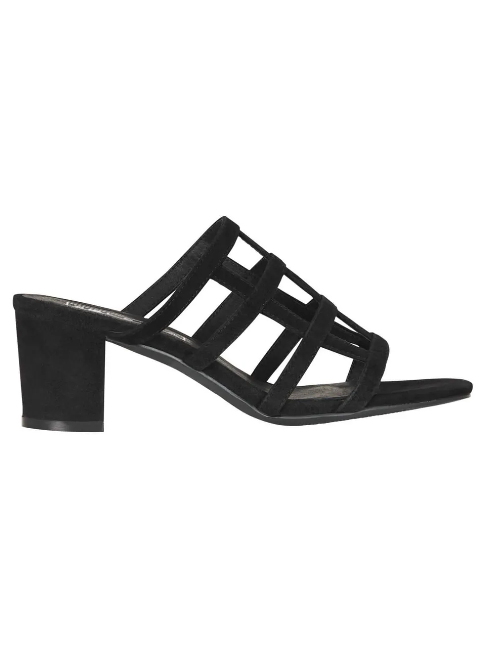 spencer_mule_0.webp Spencer Mule