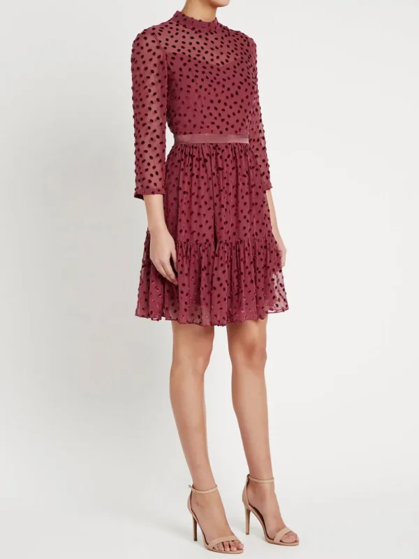 Velvet Dot Dress